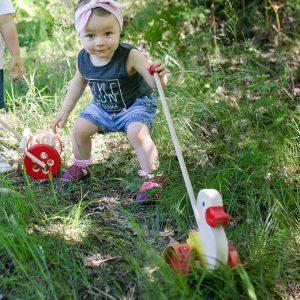 Wooden Walking duck Pushing stick Wooden toy Woolskins Tarnawa